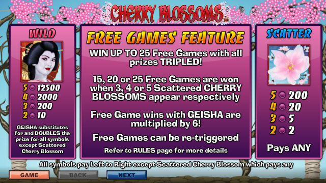Cherry Blossoms 6